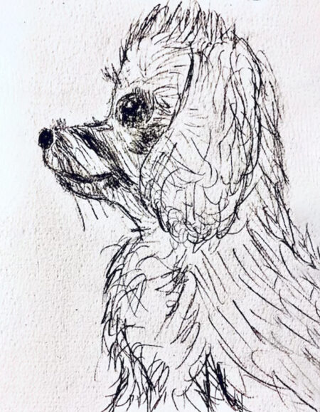 Dog Sketch - Image 1