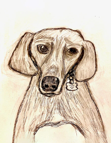 Brown Dog Sketch - Image 1