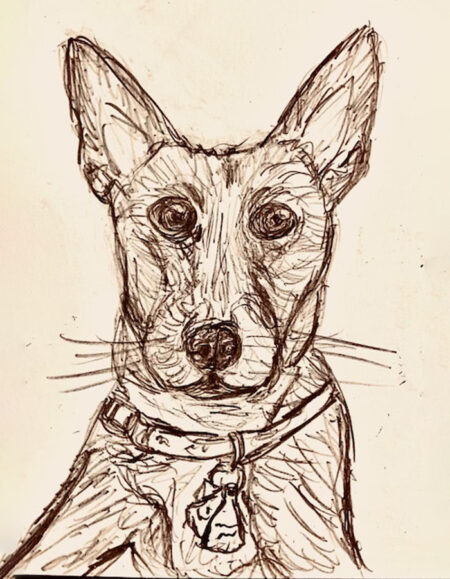 Chihuahua mix Dog Sketch - Image 1